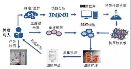 煜森資本 華大吉諾因攜腫瘤新生抗原誘導CTL技術亮相AACR，開啟免疫治療新篇章