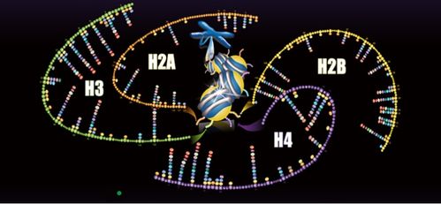聚焦蛋白質組學技術開發與應用，景杰生物完成5.3億元B輪融資以加速技術推廣