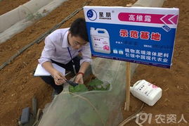 英雄帖——北京星朋公司誠(chéng)邀技術(shù)開發(fā)精英加盟